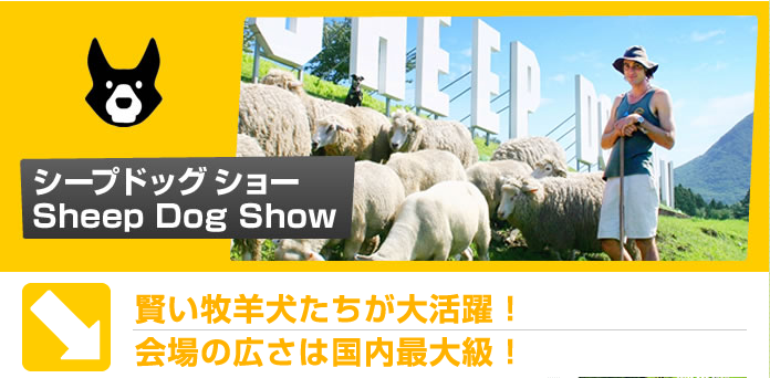 今年は 未年 関東でも羊に会えるスポットまとめ プレスリリース配信サービス Valuepress